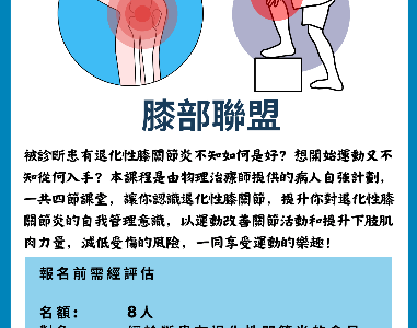 膝部聯盟