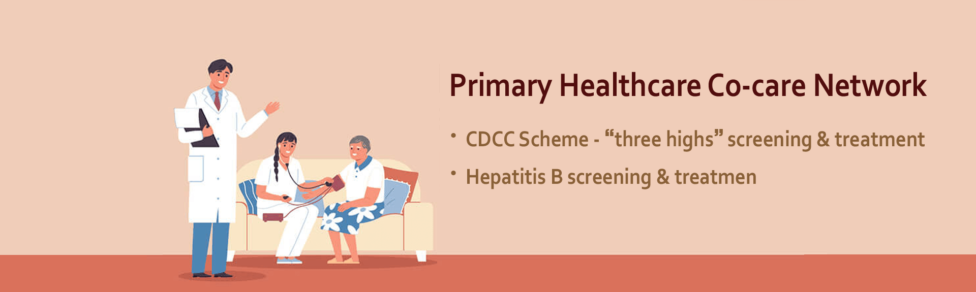 Primary Healthcare Co-care Network